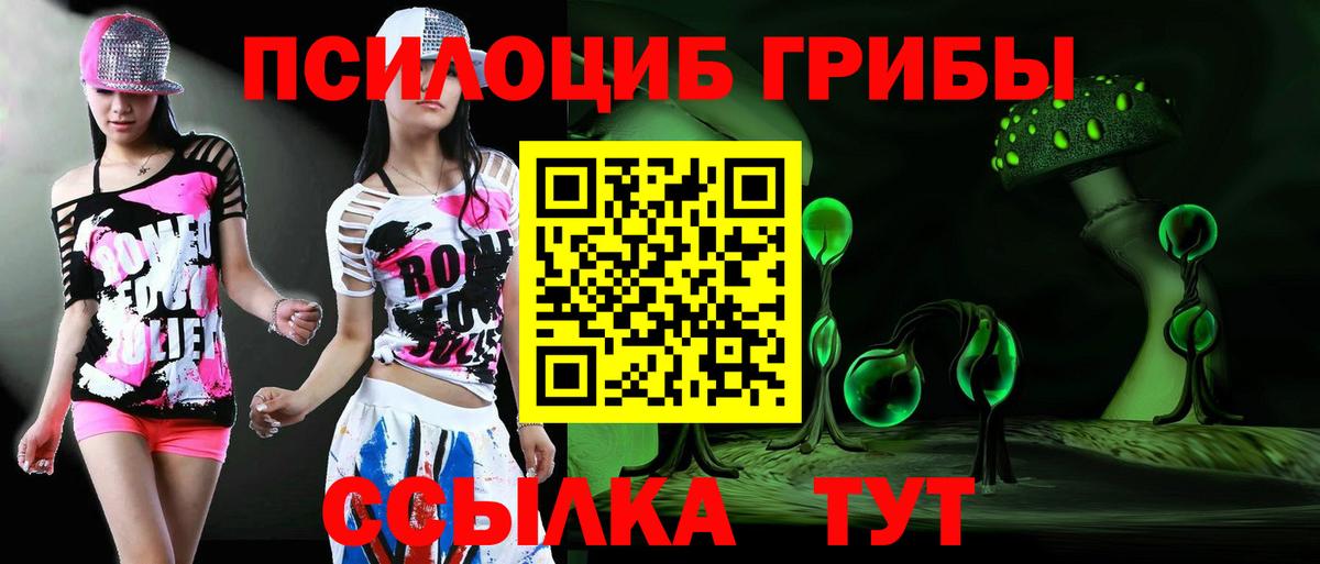 Галлюциногенные грибы Magic Shrooms  дарнет шоп  Электросталь  Вход с VPN  Галлюциногенные грибы Magic Shrooms 